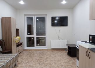 Сдается в аренду квартира студия, 24 м2, Тюмень, Интернациональная улица, 199к6, ЖК Авиатор