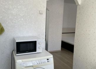 Сдача в аренду 1-комнатной квартиры, 30 м2, Томская область, проспект Ленина, 12