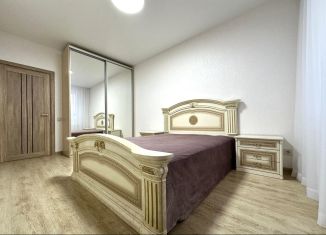Сдается в аренду 1-комнатная квартира, 40 м2, Нижний Новгород, улица Героя Советского Союза Аристархова, 1, метро Горьковская
