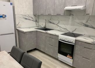Сдается в аренду 2-комнатная квартира, 58 м2, Ленинградская область, Областная улица, 5к1