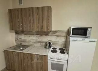 Аренда квартиры студии, 27 м2, Тюмень, улица Константина Посьета, 8, Восточный округ