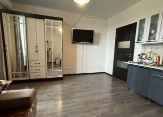 Сдается квартира студия, 26 м2, поселок городского типа Афипский, улица 50 лет Октября, 109