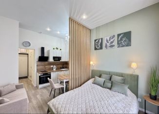 Сдается в аренду квартира студия, 28 м2, Сочи, улица Искры, 88к8, микрорайон Кудепста