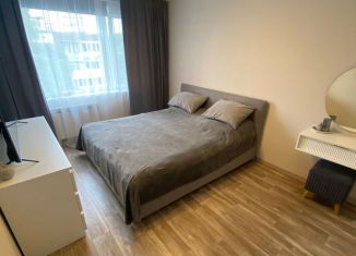 Сдается в аренду 2-ком. квартира, 54 м2, Ленинградская область, улица Воровского, 31А