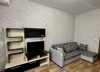 Сдам в аренду 1-ком. квартиру, 40 м2, Краснодар, улица имени Сергея Есенина, 110к2, Прикубанский округ