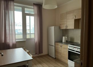 Аренда 1-комнатной квартиры, 32 м2, Мурино, Петровский бульвар, 14к3, ЖК Краски Лета