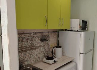 Сдаю 1-комнатную квартиру, 20 м2, Пермь, улица Пушкина, 108А