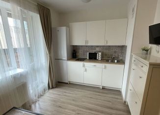 Квартира в аренду студия, 22 м2, посёлок Парголово, Заречная улица