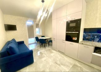 Однокомнатная квартира в аренду, 44 м2, Калининград, Закатная улица, 29к2