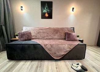 Сдается в аренду двухкомнатная квартира, 45 м2, Мурманская область, Хибиногорская улица, 39