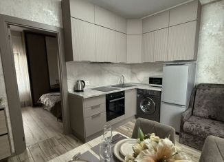 Аренда однокомнатной квартиры, 30 м2, Сочи, Ландышевая улица, 5А, микрорайон Мамайка