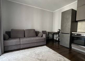 Сдается в аренду 2-комнатная квартира, 33.8 м2, Санкт-Петербург, проспект Ветеранов, 175, муниципальный округ Сосновая Поляна