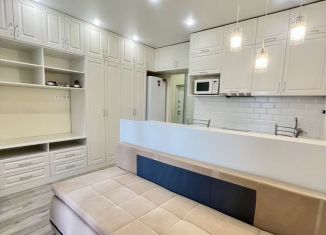 Сдам квартиру студию, 27 м2, Москва, Цимлянская улица, 3к1, ЖК Влюблино