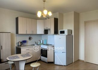 Сдается в аренду квартира студия, 24 м2, Мурино, проспект Авиаторов Балтики, 9, ЖК Виктория