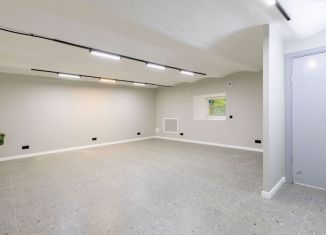 Продается помещение свободного назначения, 55.2 м2, Санкт-Петербург, Свечной переулок, 5, муниципальный округ Владимирский