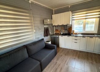 Дом на продажу, 62.3 м2, деревня Большое Прокошево, деревня Большое Прокошево, 35Г