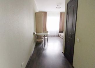 Сдам в аренду квартиру студию, 28 м2, Тверь, Планерная улица, 4