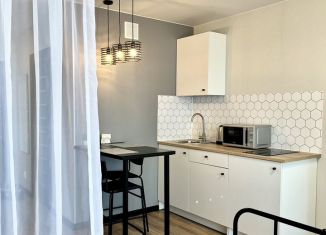 Квартира в аренду студия, 28 м2, Удмуртия, улица 40 лет Победы, 73