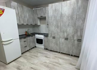 Сдаю двухкомнатную квартиру, 60 м2, Йошкар-Ола, Западная улица, 11, микрорайон Фестивальный