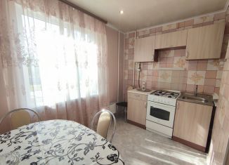 Сдаю в аренду 2-ком. квартиру, 56 м2, Йошкар-Ола, улица Лебедева, 53, микрорайон Нагорный