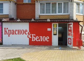 Продажа помещения свободного назначения, 65 м2, Канаш, улица 30 лет Победы, 92А