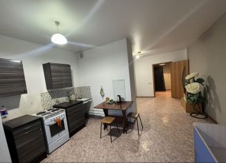 Сдача в аренду квартиры студии, 40 м2, Республика Башкортостан, улица Шмидта, 158