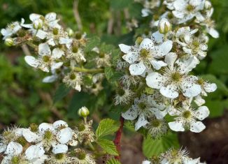 Продается дом, 276.4 м2, деревня Чепелёво, Солнечная улица, 6