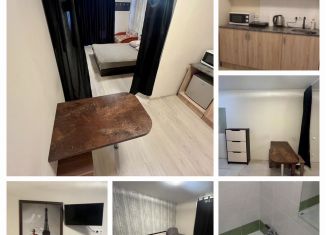 Сдам квартиру студию, 26 м2, Саратов, Огородная улица, 157, ЖК Волга