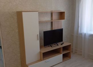 Сдача в аренду однокомнатной квартиры, 32.2 м2, Орёл, переулок Дарвина, 6