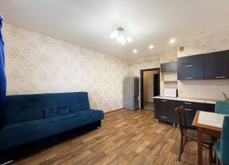 Сдается в аренду квартира студия, 26.7 м2, Новосибирская область, Сухарная улица, 96