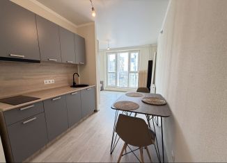 Сдам в аренду квартиру студию, 25 м2, Ростов-на-Дону, улица Ерёменко, 110/2с2, ЖК Пятый Элемент