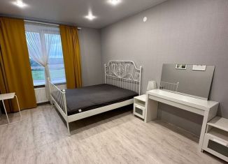 Сдаю 2-комнатную квартиру, 62 м2, село Айша, жилой комплекс Зелёная Долина, 3