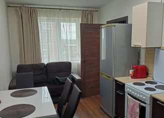 Сдача в аренду 2-комнатной квартиры, 46.4 м2, посёлок Парголово, Заречная улица, 38к2