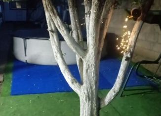 Дом в аренду, 32 м2, село Нугуш, Береговая улица, 49