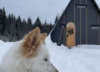 Сдаю дом, 56 м2, Пермь