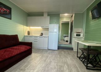 Сдача в аренду дома, 32 м2, село Курортное, Набережная улица, 107