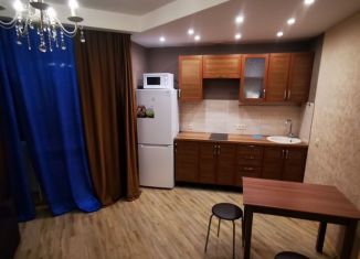 Сдача в аренду квартиры студии, 26 м2, посёлок Шушары, Школьная улица, 6к2