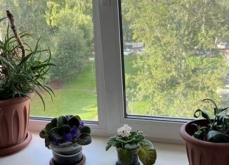 Сдаю 1-комнатную квартиру, 30.4 м2, Республика Башкортостан, проспект Ленина, 22