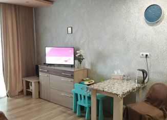 Сдам квартиру студию, 30 м2, Благовещенск, Заводская улица, 4