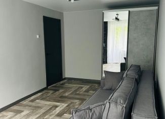 Однокомнатная квартира в аренду, 30 м2, Гусь-Хрустальный, улица Маяковского, 4А