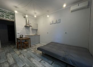 Аренда квартиры студии, 25 м2, Краснодар, улица им. Героя Сарабеева В.И., 5к1, микрорайон Панорама