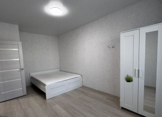 Сдача в аренду 1-ком. квартиры, 33.3 м2, поселок городского типа Стройкерамика, улица Анетты Басс, 4с1