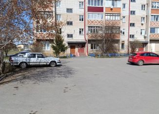 Аренда 1-ком. квартиры, 33.1 м2, Ишим, Большая улица, 173