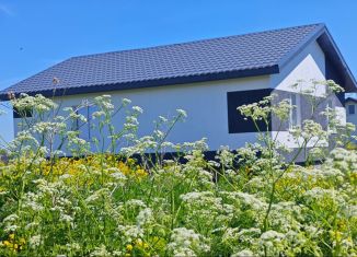 Продаю дом, 80 м2, деревня Карюгино, Луговая улица