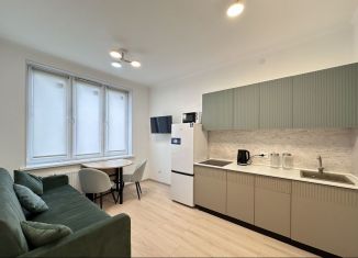 Сдается в аренду 1-ком. квартира, 33 м2, Санкт-Петербург, Арцеуловская аллея, 9, муниципальный округ Юнтолово