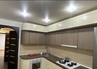 Сдача в аренду двухкомнатной квартиры, 47 м2, Балашов, улица 167-й Стрелковой Дивизии, 3