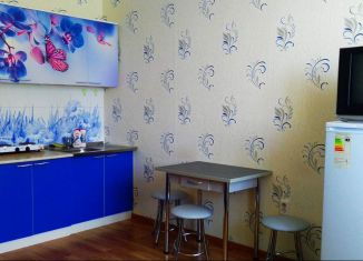 Сдам квартиру студию, 25 м2, село Засечное, Светлая улица, 9