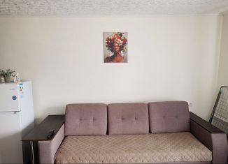 Сдам квартиру студию, 17.7 м2, Йошкар-Ола, Первомайская улица, 107