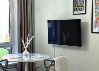 Сдаю 1-комнатную квартиру, 25 м2, деревня Новое Девяткино, Главная улица, 10