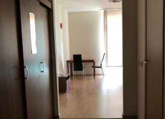 Сдам квартиру студию, 26.5 м2, Мурино, улица Шоссе в Лаврики, 83